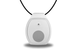 Life Assure Classic Home With Pendant