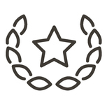 Simple and Efficient Icon