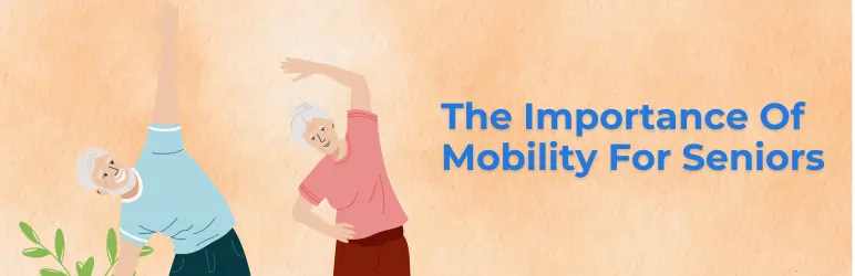 best mobility exercises for seniors importance of it