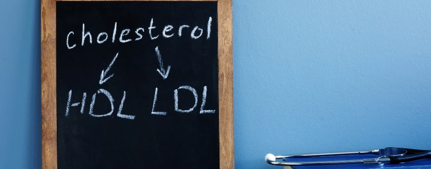 The Ultimate Cholesterol Guide For Seniors Two Types Of It: HDL and LDL