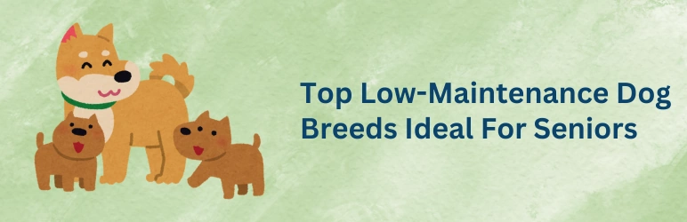 life-assure-best-dogs-for-seniors-top-low-maintenance