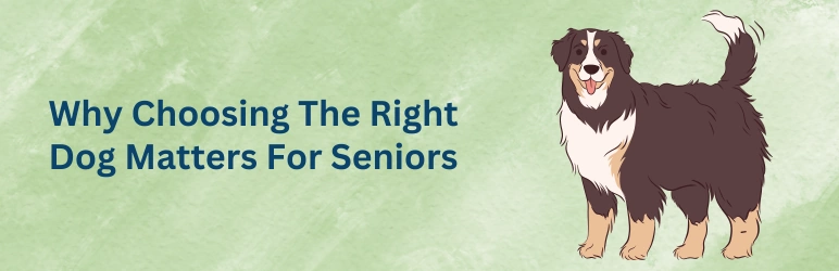 life-assure-best-dogs-for-seniors-why-it-matters