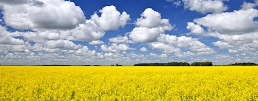 life-assure-manitoba-agricultural-farms