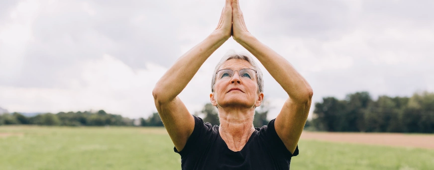 The Ultimate Cholesterol Guide For Seniors Two Types Of It: HDL and LDL