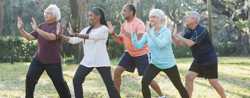 The Ultimate Cholesterol Guide For Seniors Two Types Of It: HDL and LDL