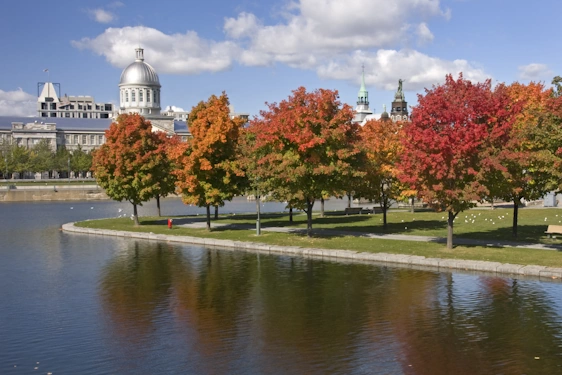 Quebec Montreal Bonsecour Basin Picture with green and red trees