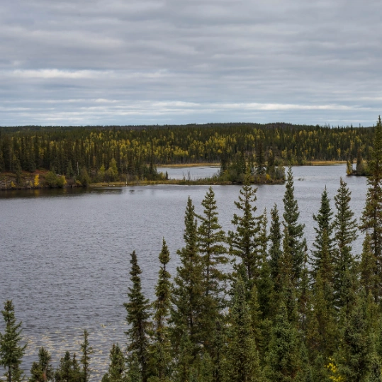 life-assure-has-protection-for-all-northwest-territories-seniors