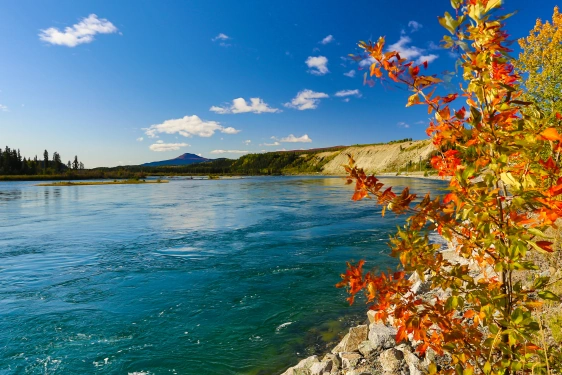 life-assure-has-protection-for-all-yukon-seniors