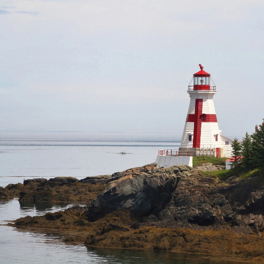 life-assure-is-proud-to-protect-new-brunswick-seniors
