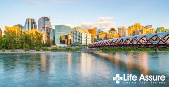 Life Assure Senior Woman Happily Pondering