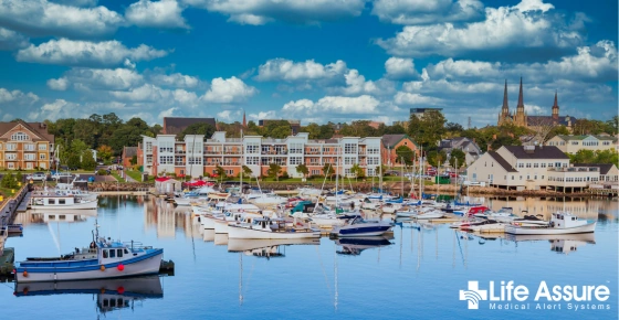 Life Assure Senior Woman Happily Pondering