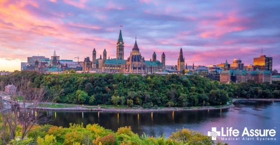 Life Assure Senior Woman Happily Pondering