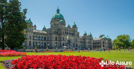 Life Assure Senior Woman Happily Pondering