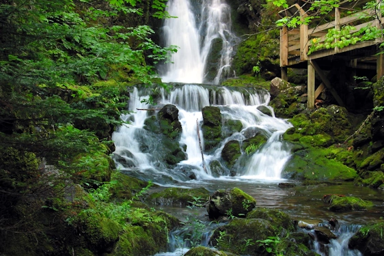 New Brunswick Waterfall in the middle of the forest with wooden bridge on the right